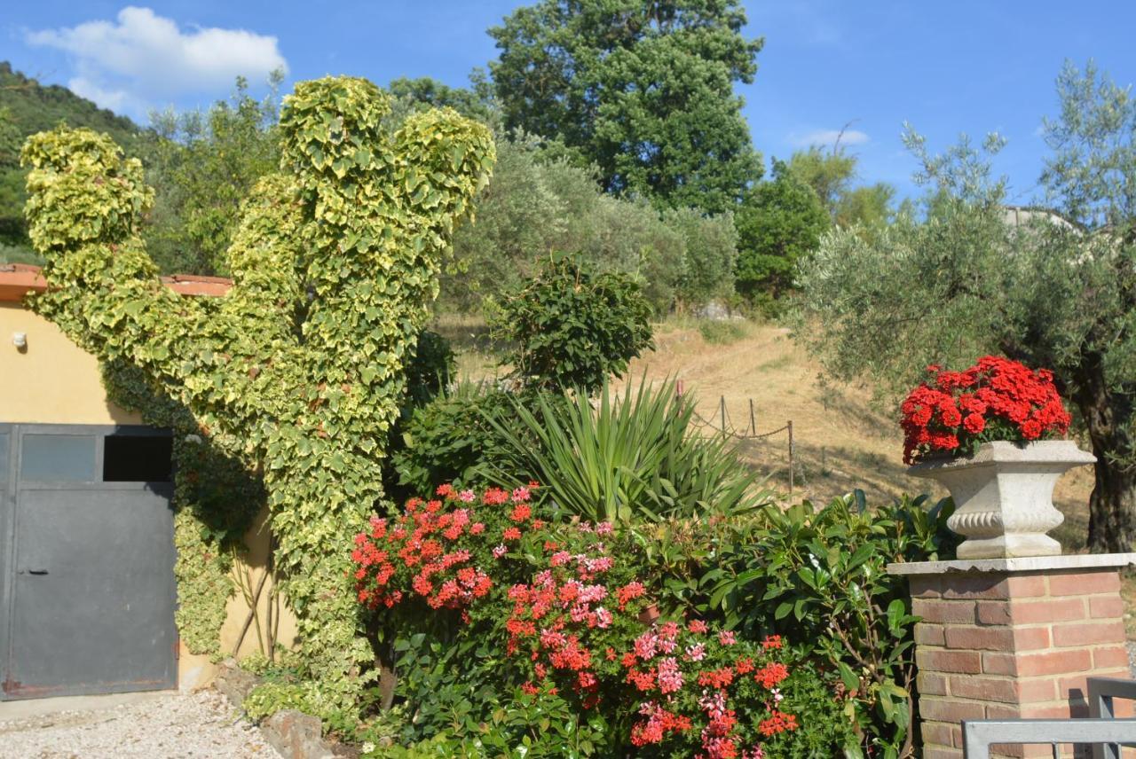 Villa Mischianti グッビオ エクステリア 写真