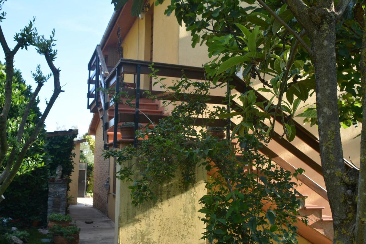 Villa Mischianti グッビオ エクステリア 写真