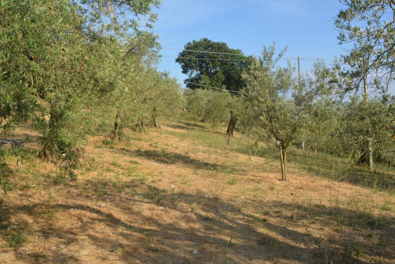 Villa Mischianti グッビオ エクステリア 写真
