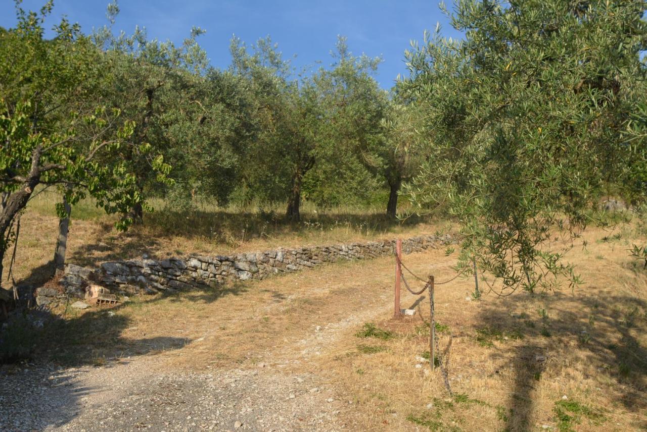 Villa Mischianti グッビオ エクステリア 写真